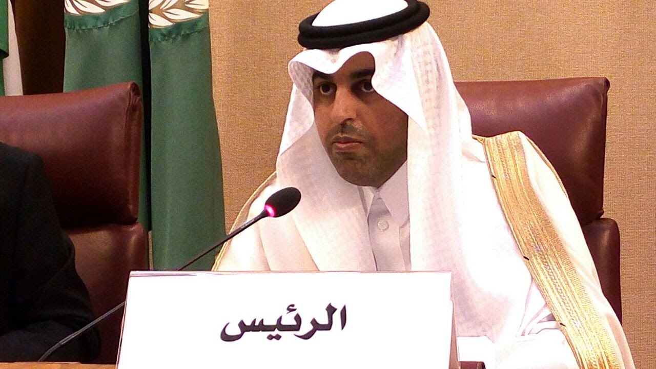 البرلمان العربي يؤكد اهمية التنسيق مع البرلمان الافريقي بشأن القضية الفلسطينية