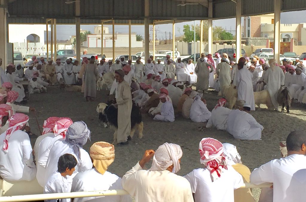 هبطة العيد بضنك تشهد بداية نشطة