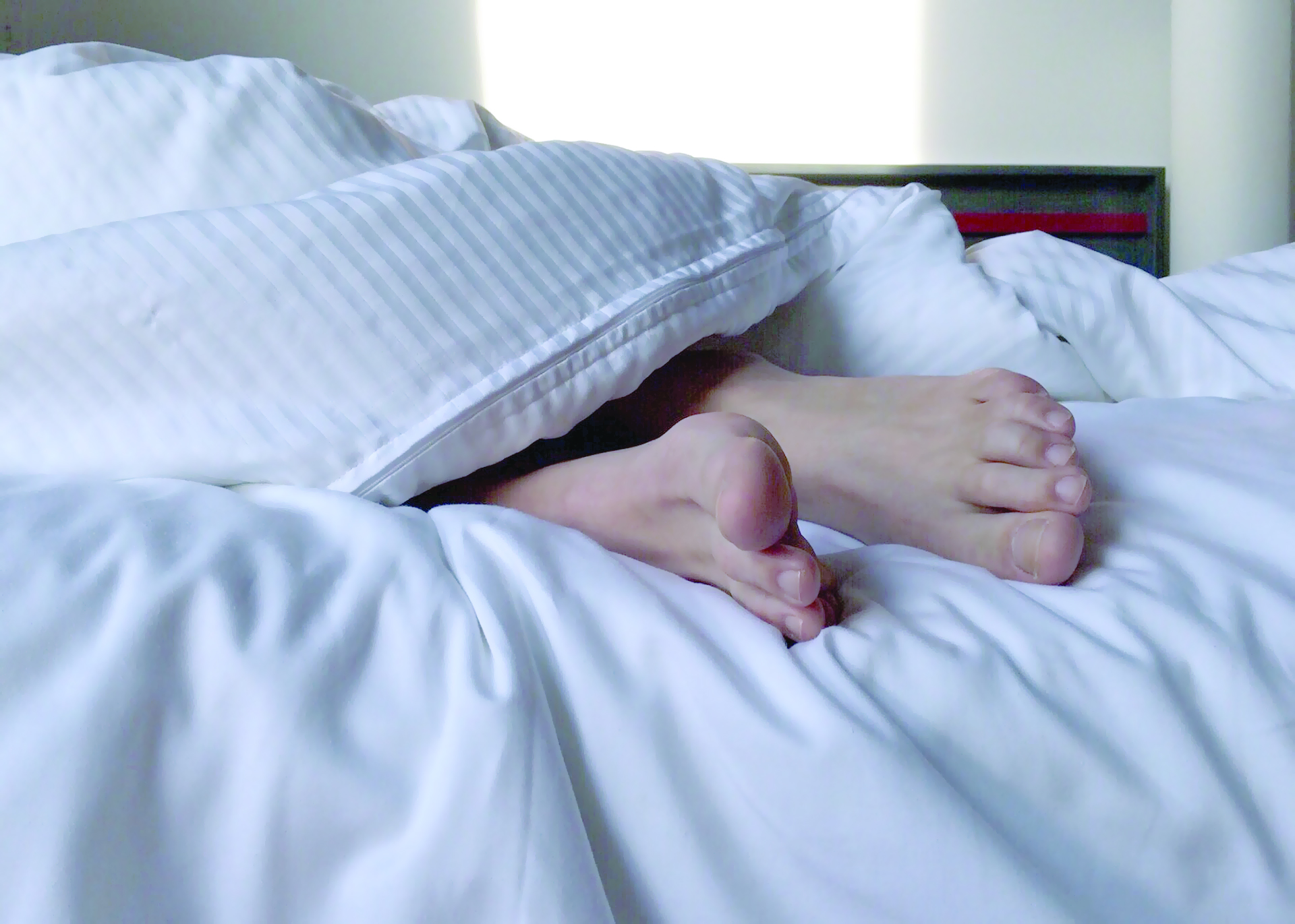 النوم أفضل من
الطعام بعد العمل