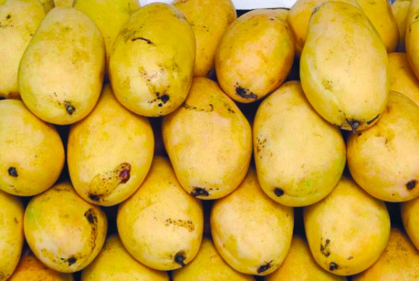 Mango war on social media in Oman: Expats claim their country's variety is the best