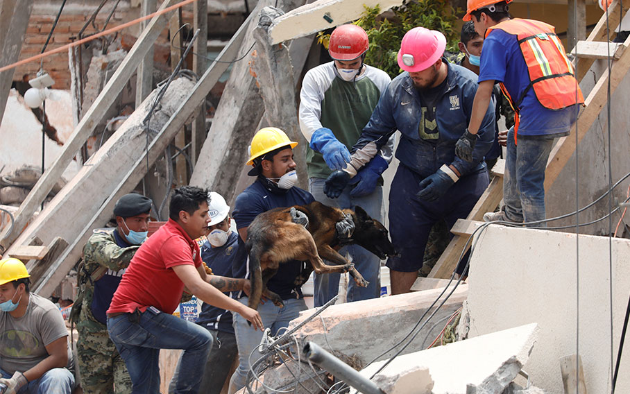 Mexico searches for earthquake survivors against increasing odds