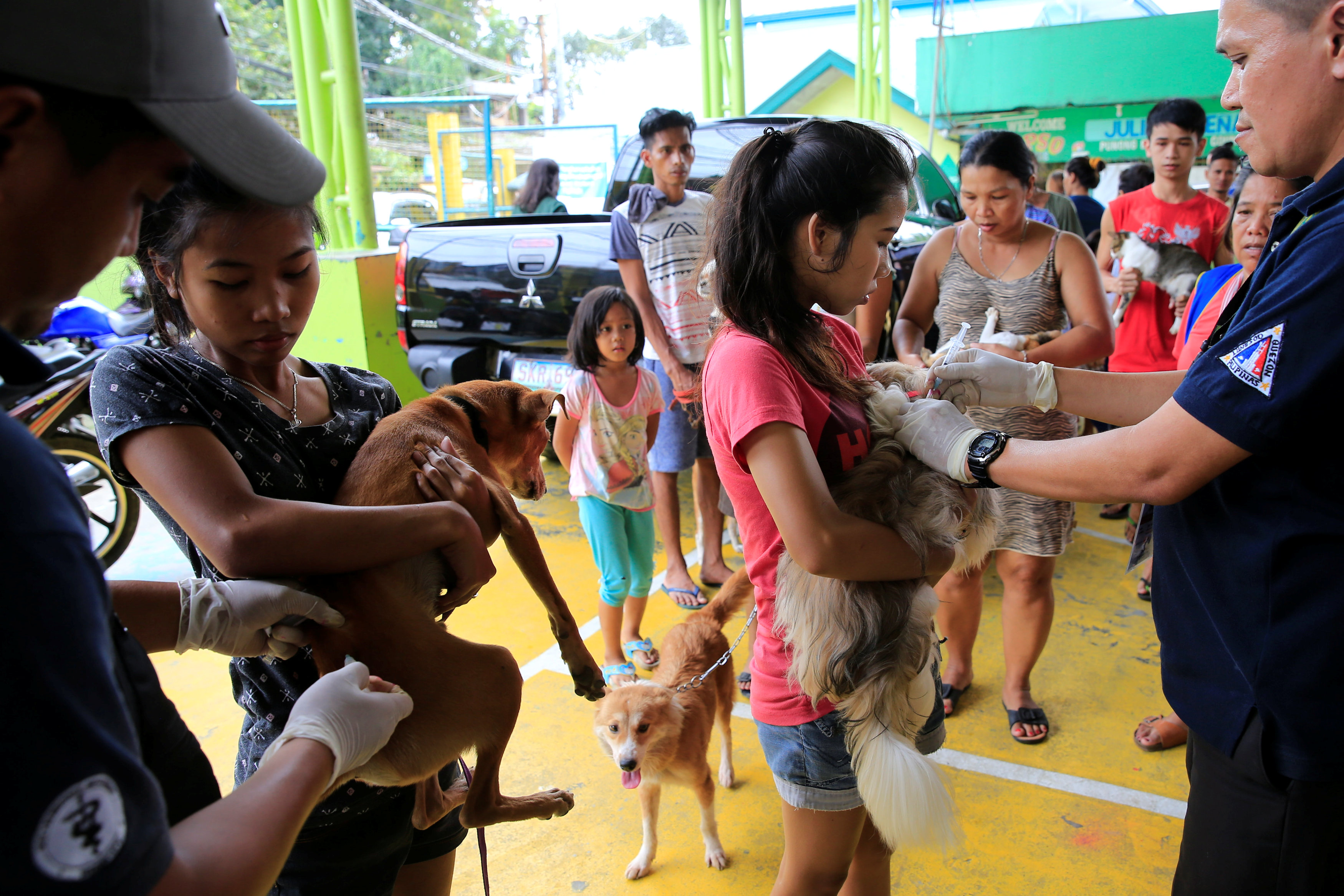 Veterinarians in Philippines turn to technology to track and tackle rabies