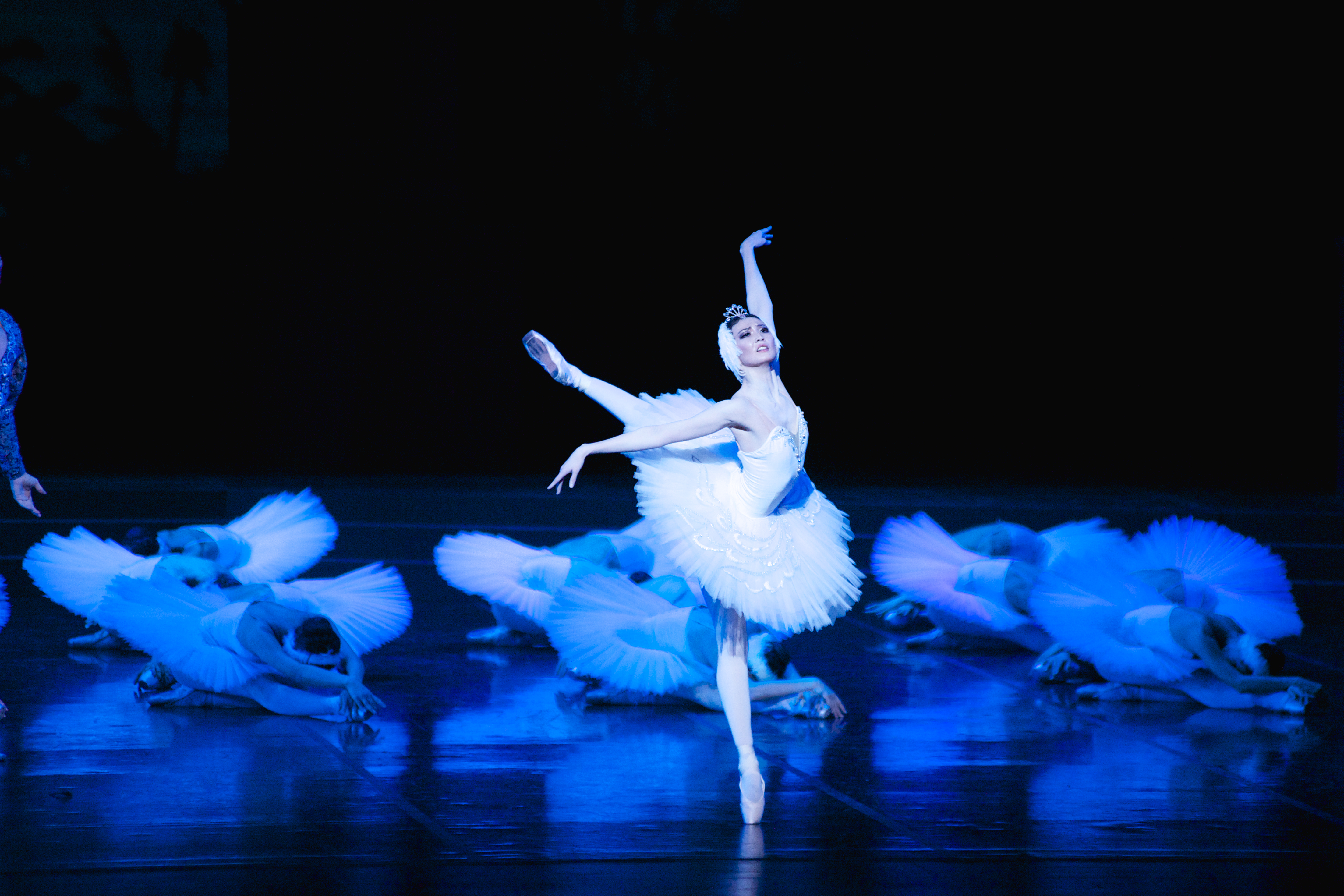 Swan Lake set to make a splash in Oman