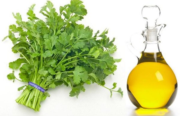 فوائد صحية لزيت الكزبرة