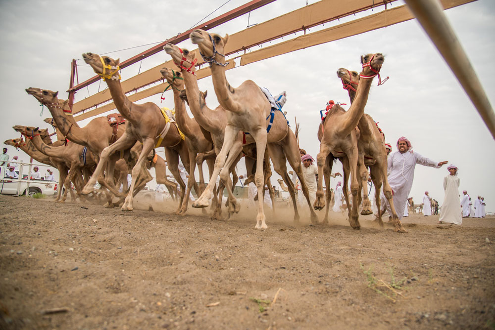 OmanPride: Oman-based photographer capturing culture