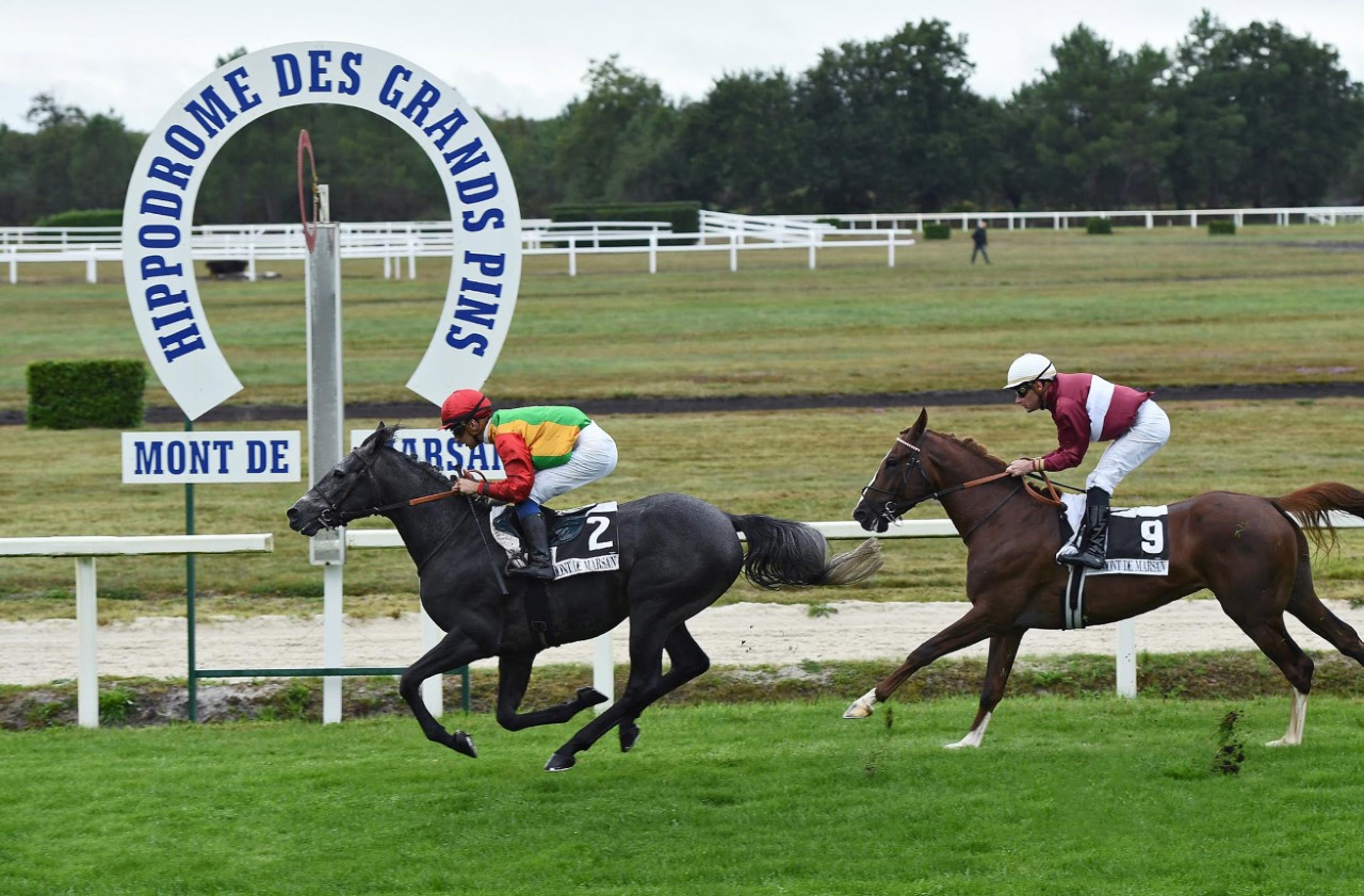 الحصان روض للخيالة السلطانية يفوز بشوط دجورمان الفرنسي