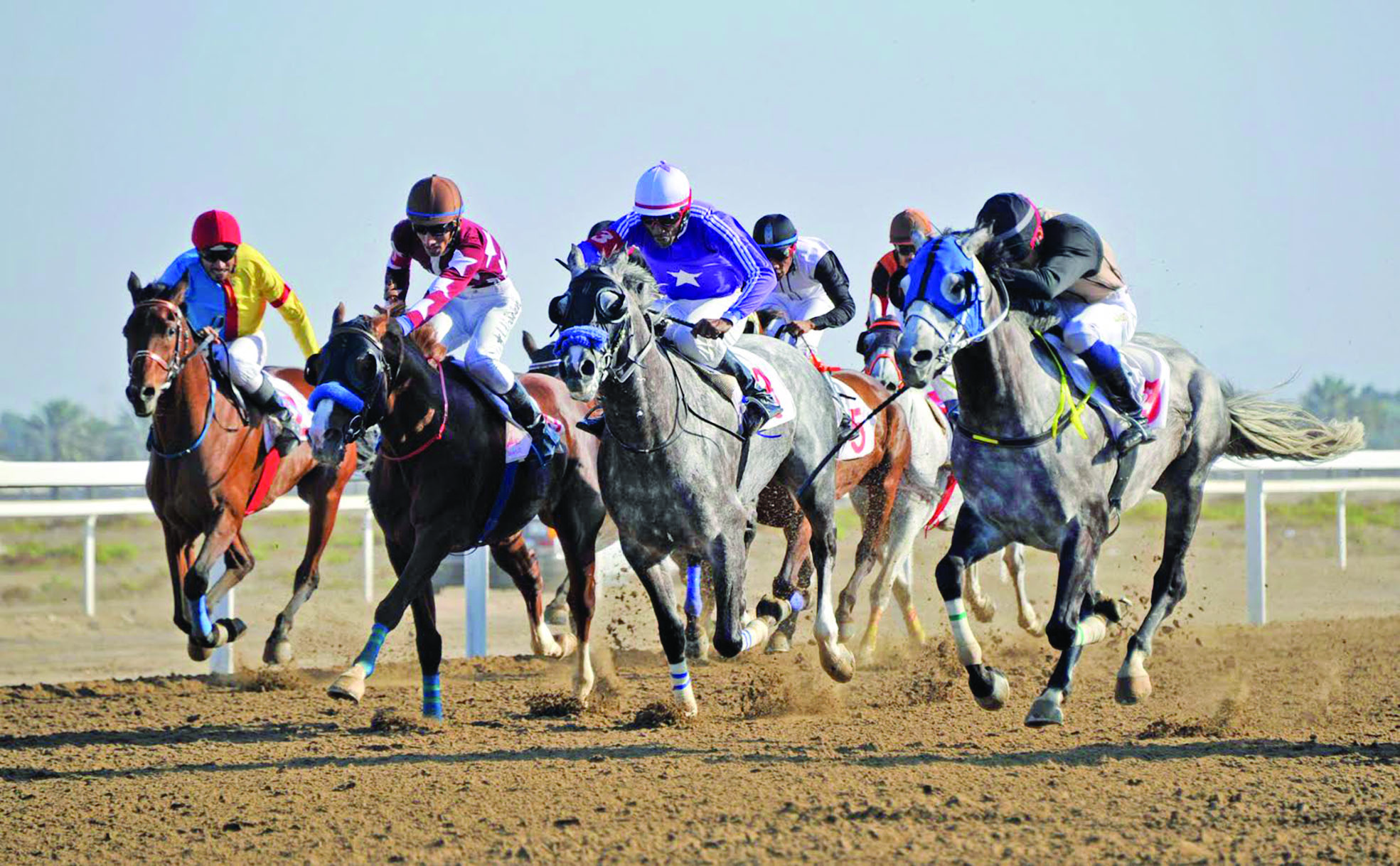 الخميس.. انطلاق موسم سباقات الخيل