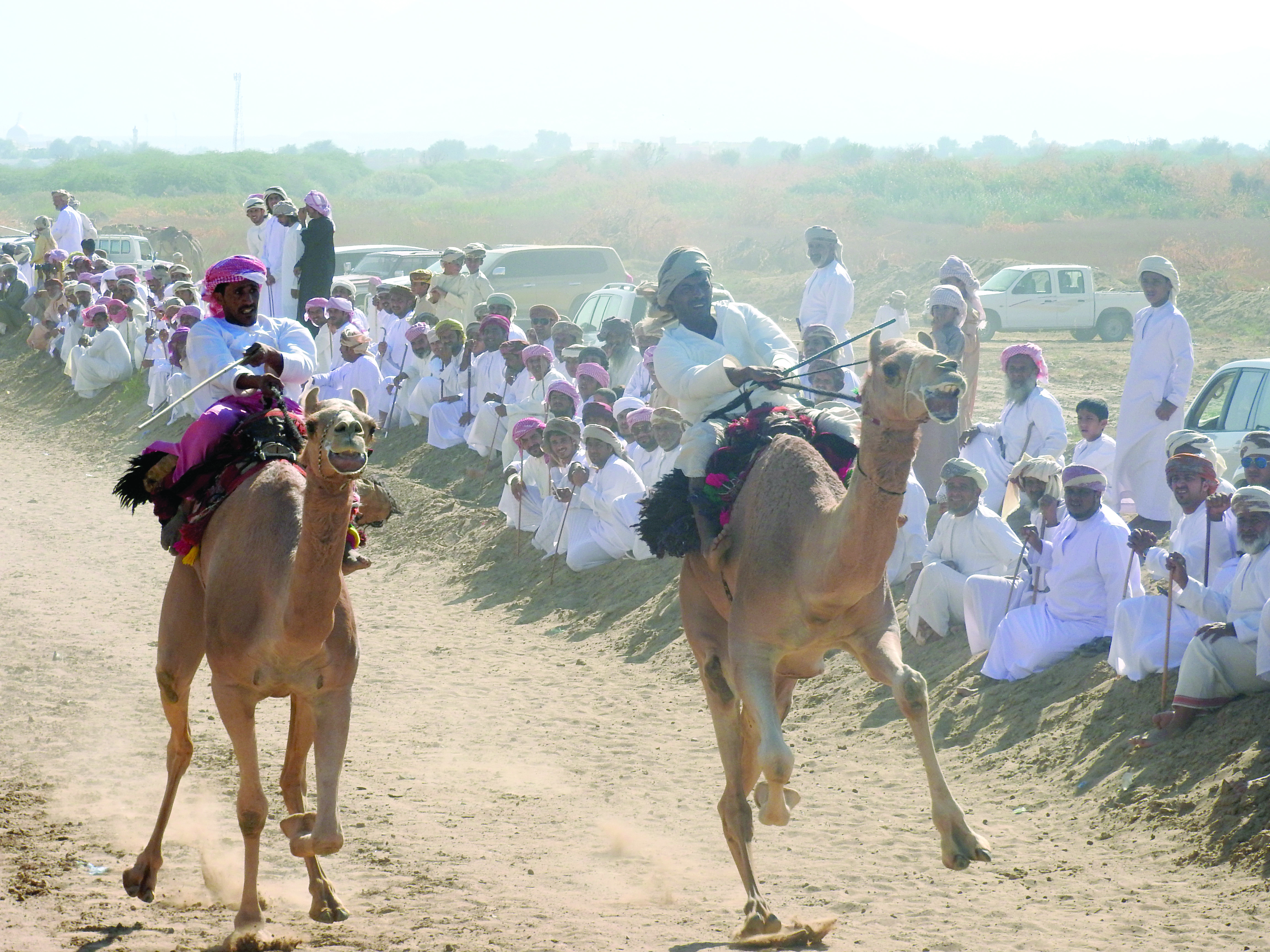 بمناسبة العيد الوطني المجيدصور تحتضن مهرجان العرضة للهجن