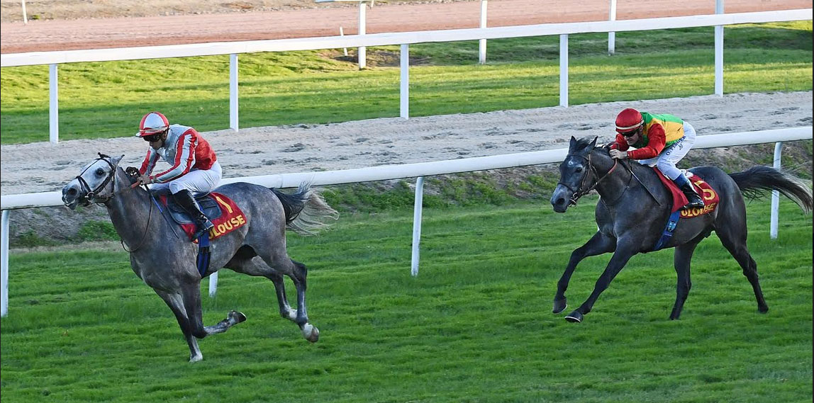 "روض" للخيالة السلطانية يحتل وصافة مضمار تولوز