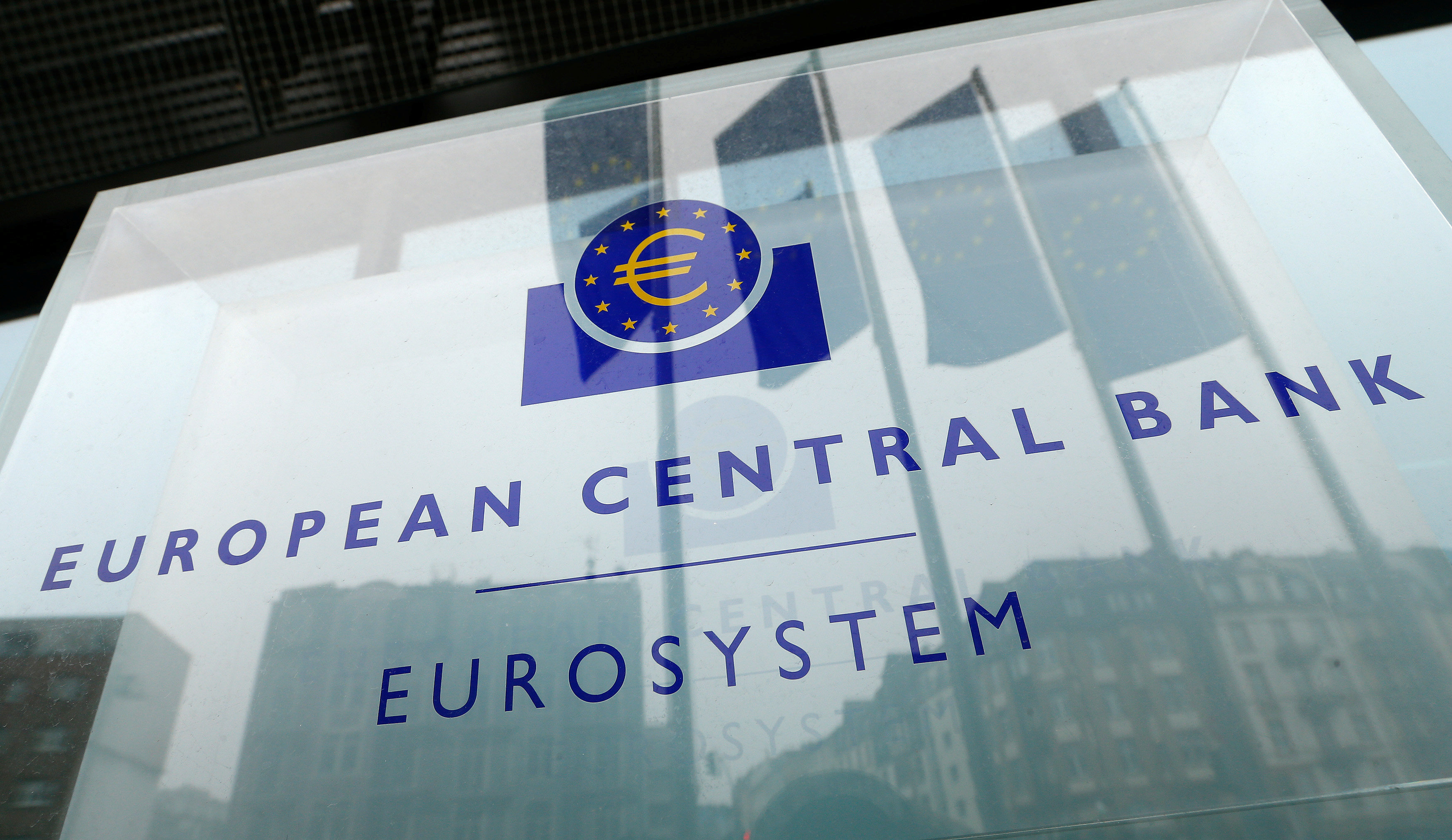 Euro zone banks can cope with low rates for years, European Central Bank paper says