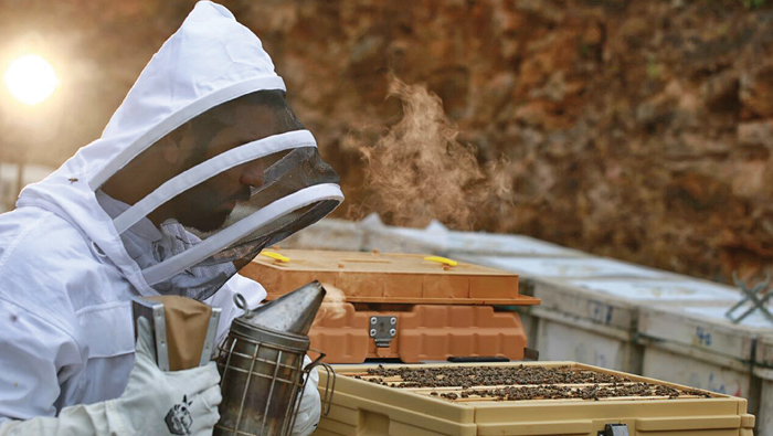 Omani beekeeper wins third place in international honey contest