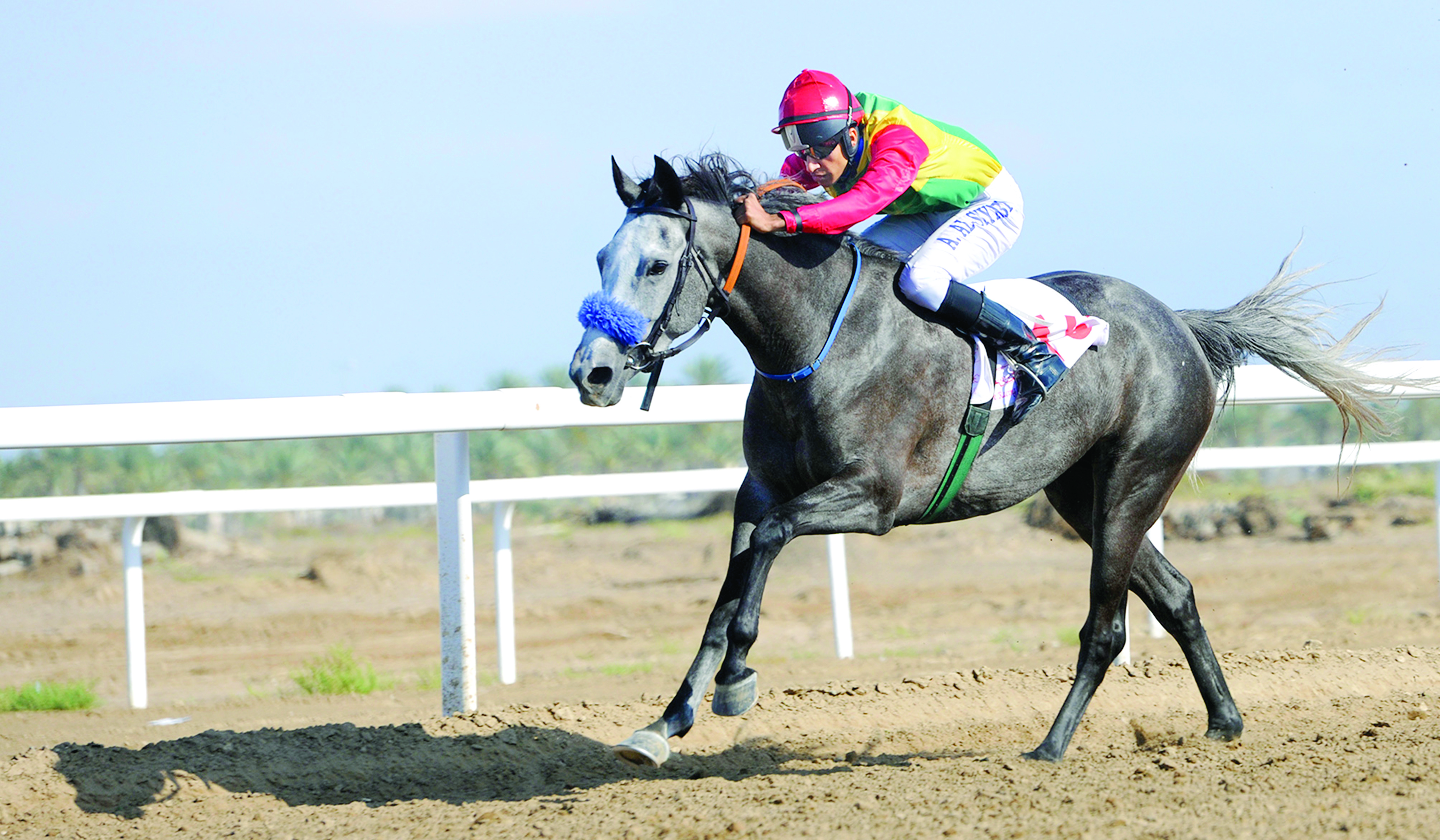 «عمير» و«معزوز» مرشحان لحسم كأس الخيول العربية 

موعد جديد لعشاق الفروسية في سباق الخيل الثالث
