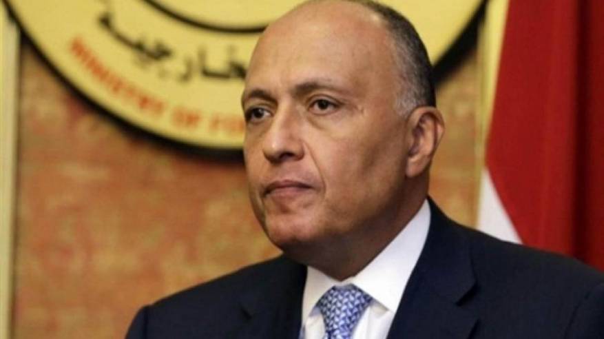 وزير الخارجية المصري يصل السلطنة