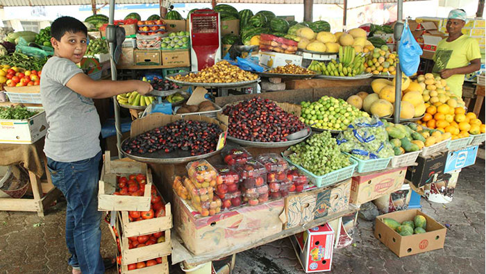 Muscat's central vegetable and fruit market receives 176,304 tons of produce