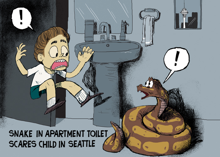 Seattle family discovers python in apartment toilet
