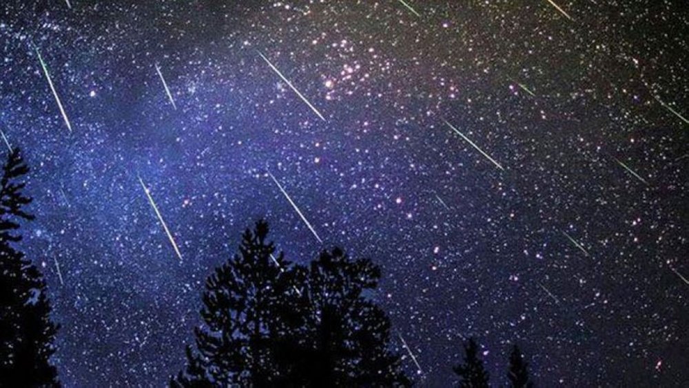News Rewind: Oman's skies shine with meteor shower