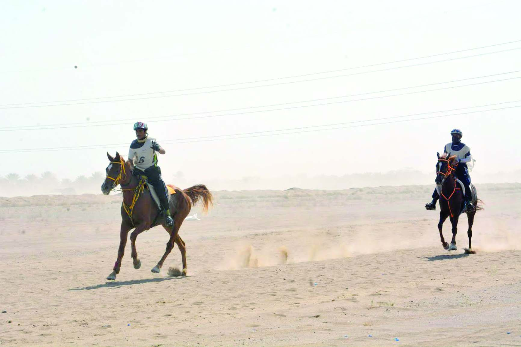 «الفروسية» يبدأ التسجيل لخامس مسابقات القدرة