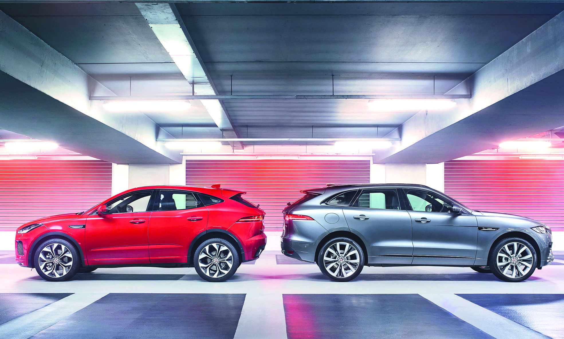 F-PACE من «جاكوار» تحصل على تصنيف 5 نجوم