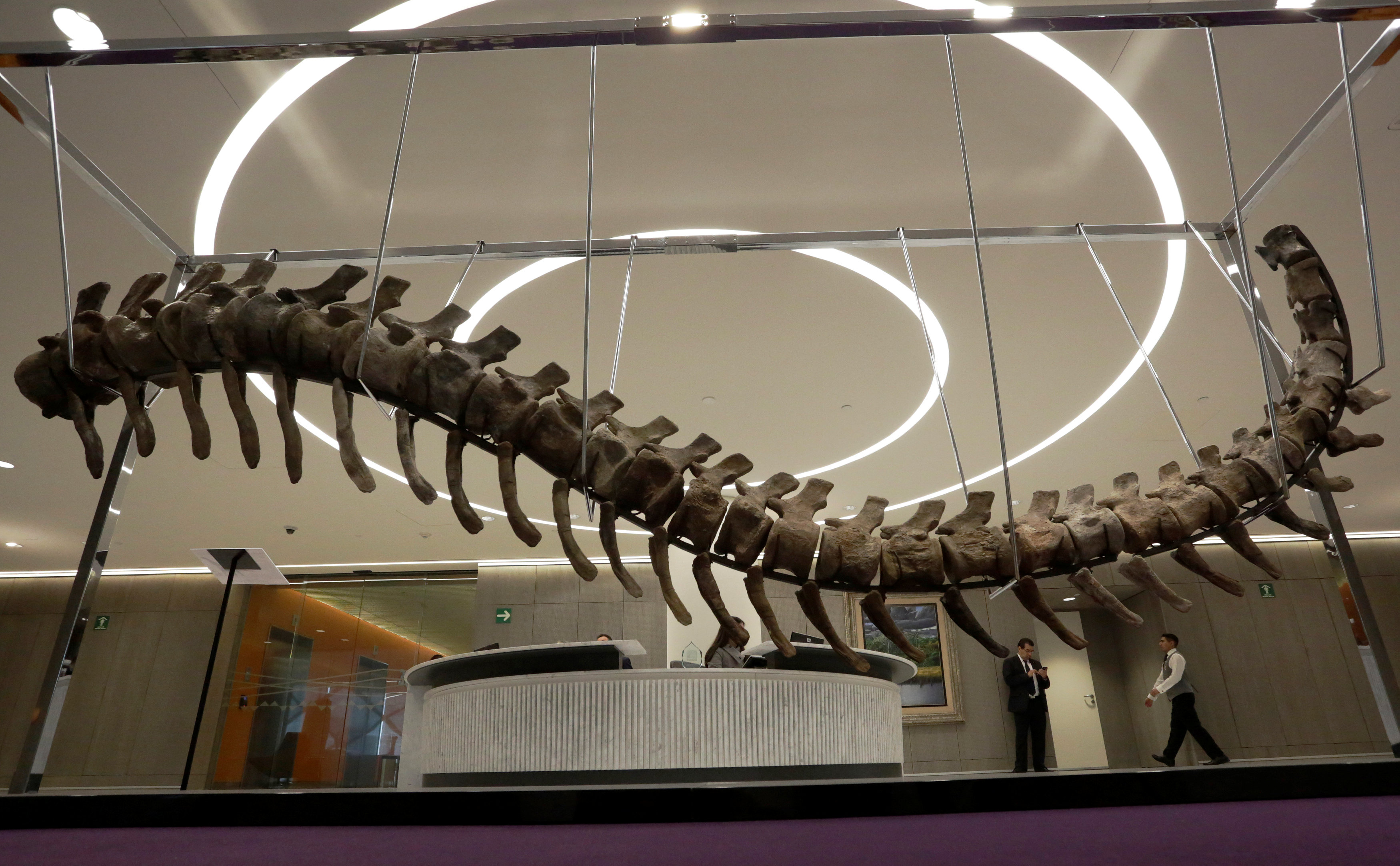 Dinosaur tail to be auctioned for quake reconstruction in Mexico
