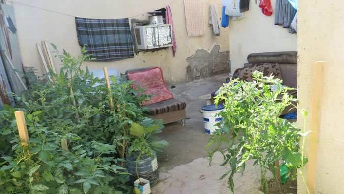 Municipality raids Muscat farm used for illegal commercial work
