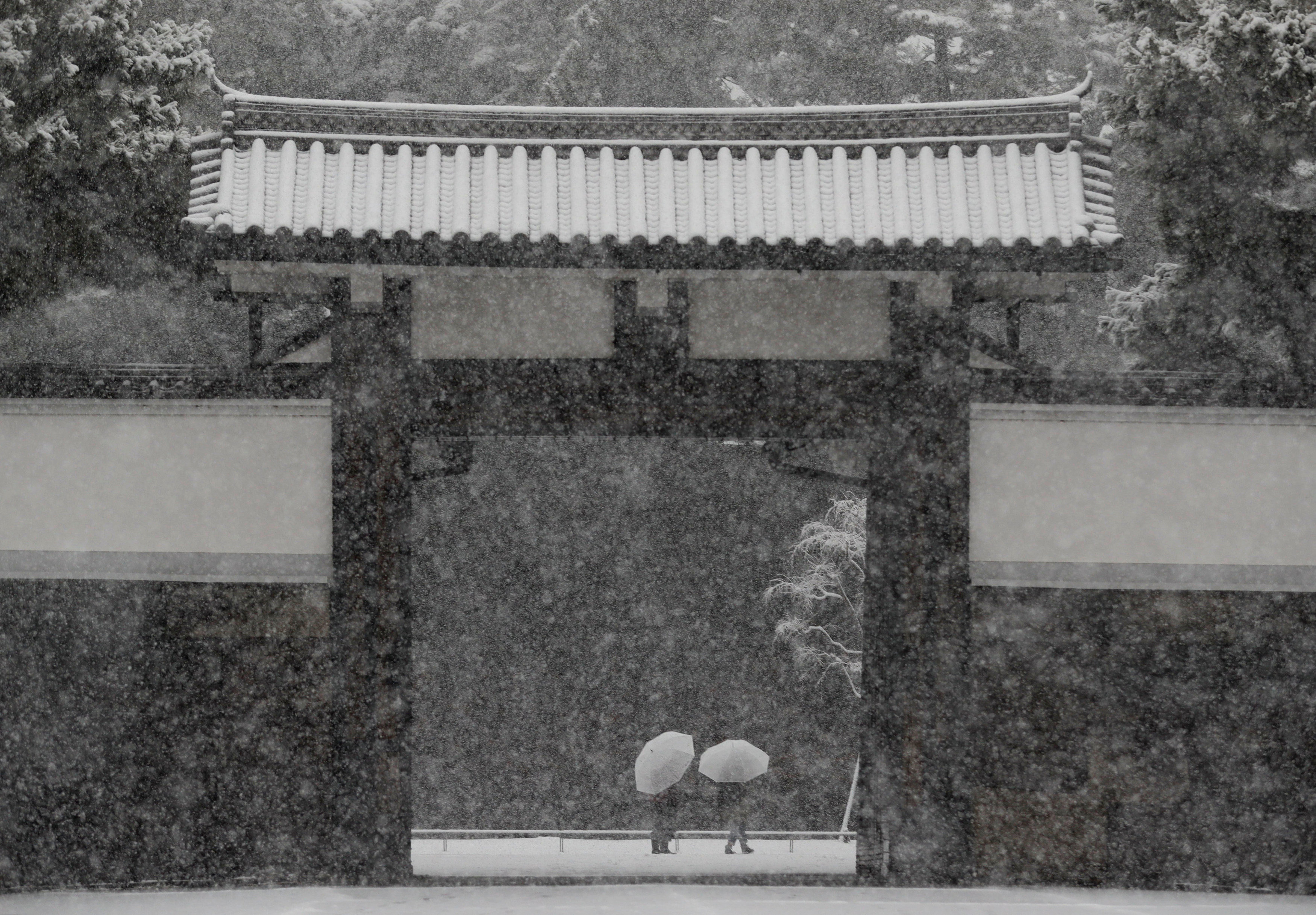 In pictures: Snowstorm hits Tokyo