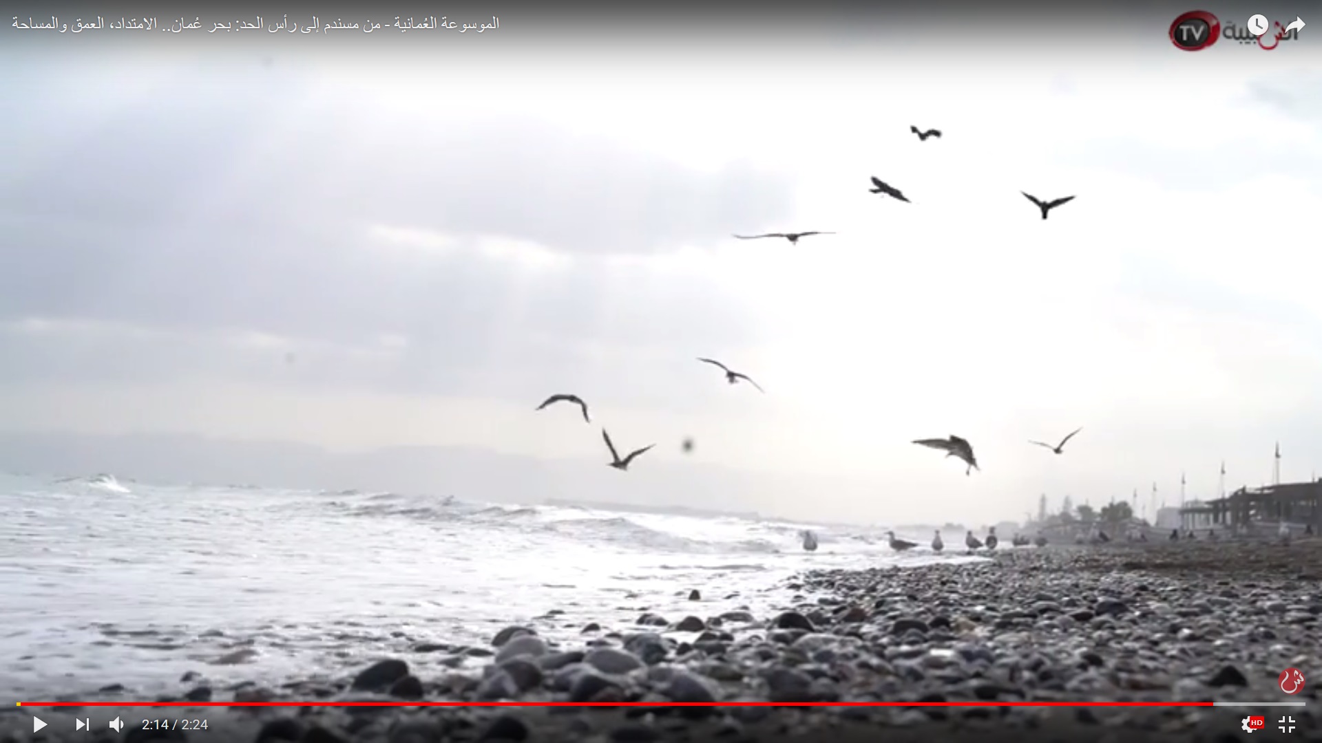 بالفيديو: الموسوعة العُمانية.. بحر عُمان من مسندم إلى رأس الحد