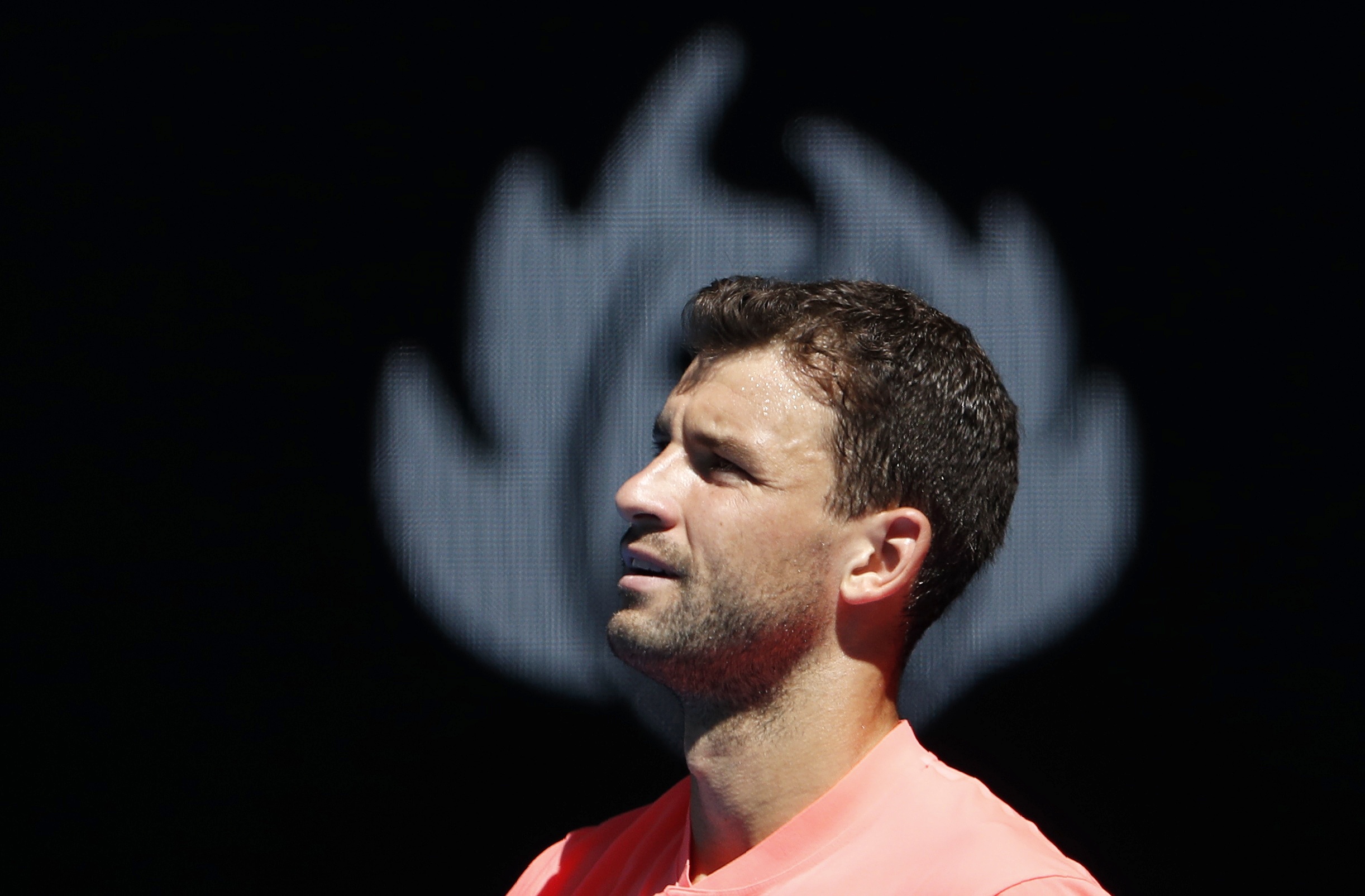 Tennis: Exhausted Dimitrov could miss Sofia Open