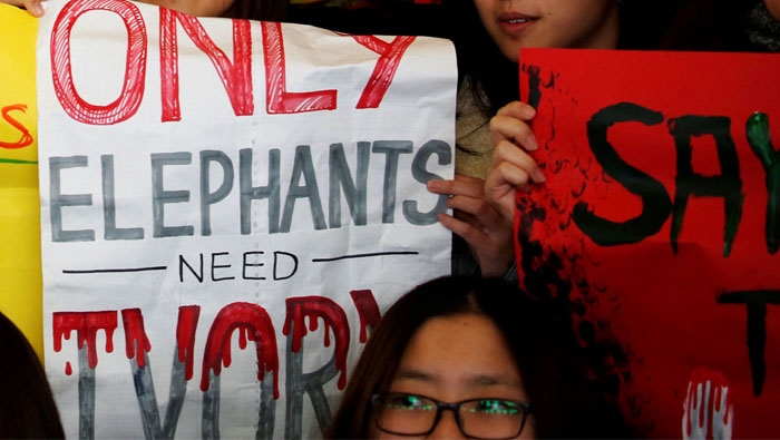 Hong Kong lawmakers vote to ban ivory sales