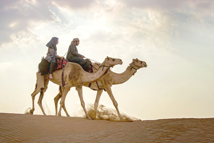 Go on a ‘Camel Trek’