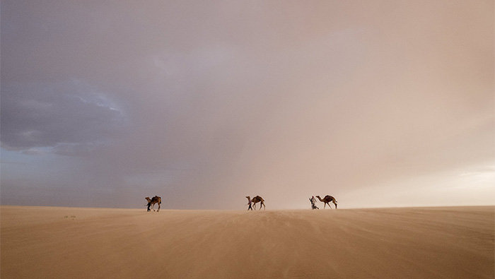 Here’s your chance to explore the Empty Quarter without leaving your seat