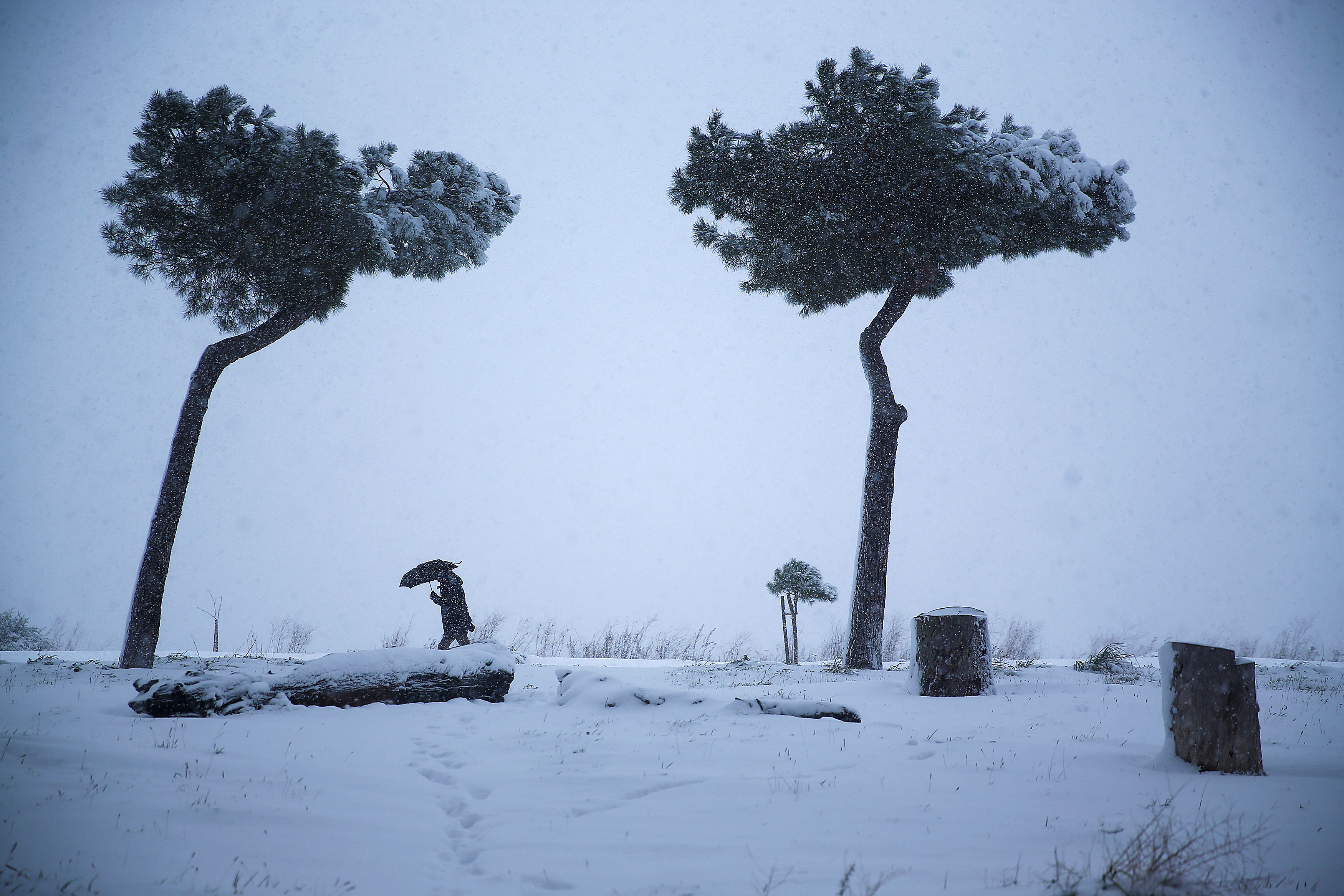 In pictures: Rare snow storm wreaks havoc in Rome