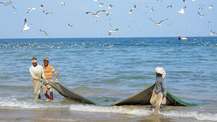 No threat to fishing from red tide off Barka coast