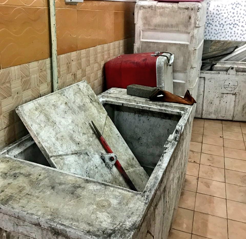 Municipality raids house used to store fish, lobsters in Muscat