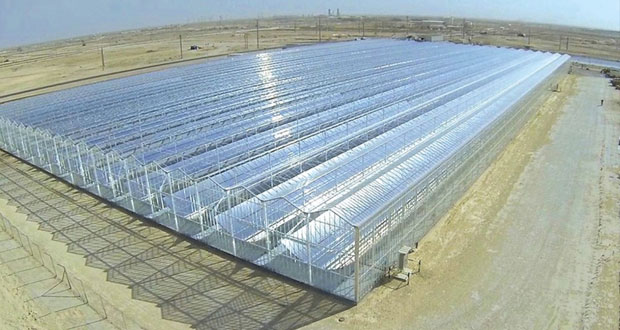 استعراض مستقبل السلطنة في مجال الطاقة
