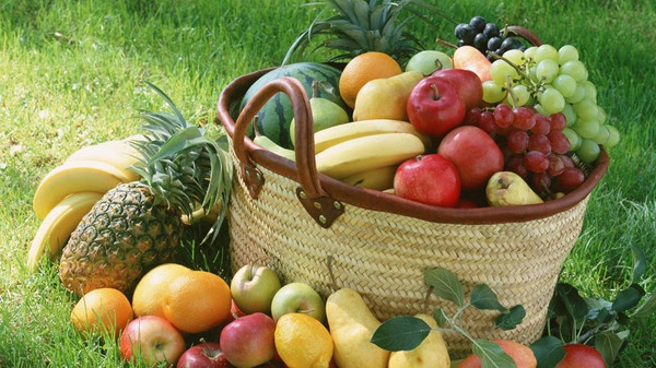 العالم يشهد سنويا هدر نحو 45 % من الفواكه والخضراوات