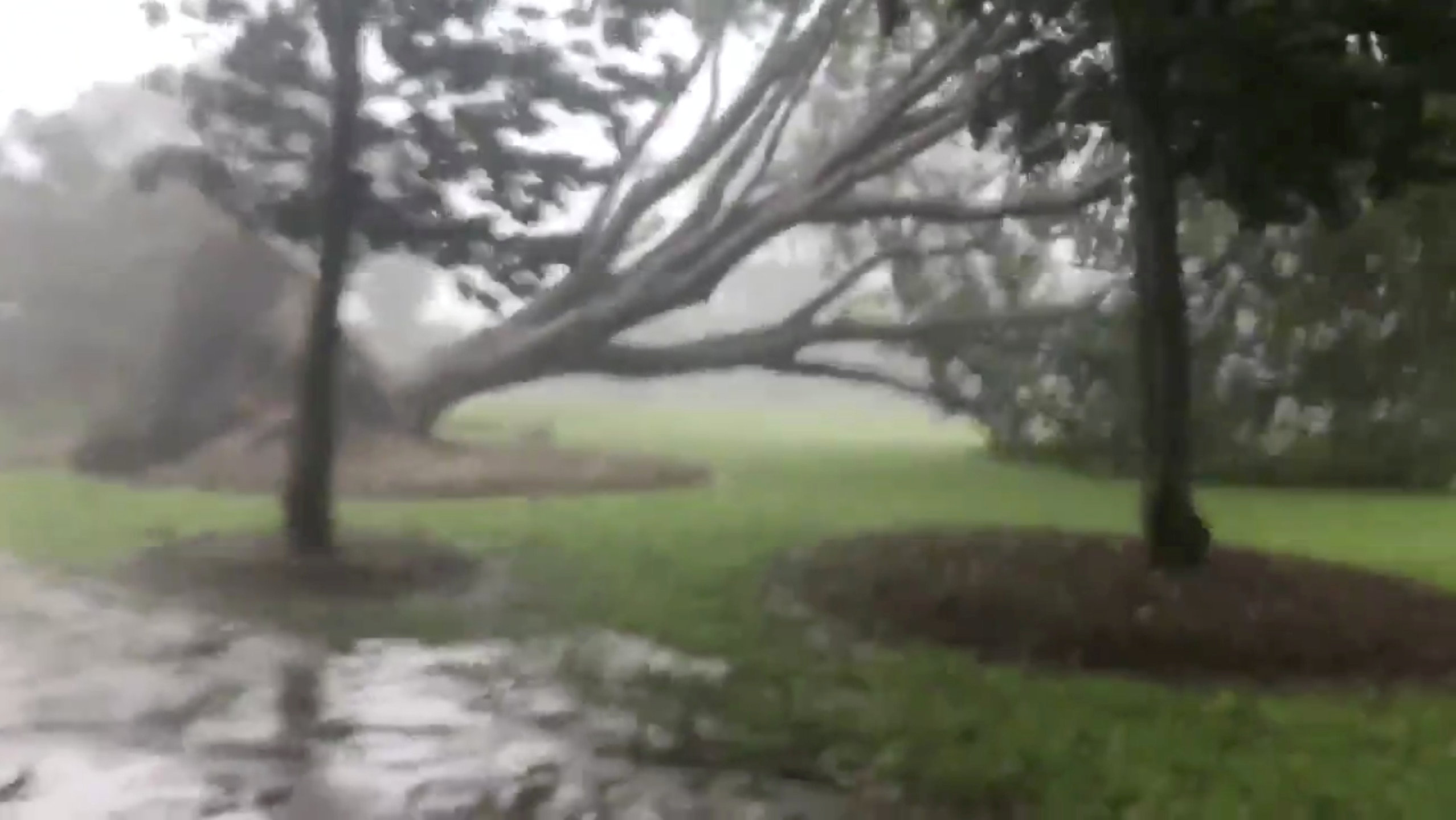 Thousands of Australian homes without power after cyclone hits Darwin