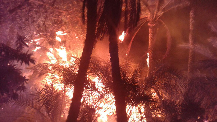 Farm catches fire in Oman