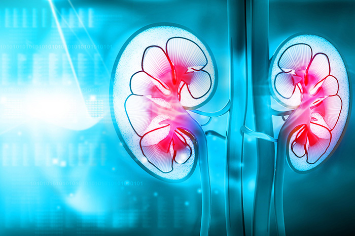 How does diabetes affect kidney health?