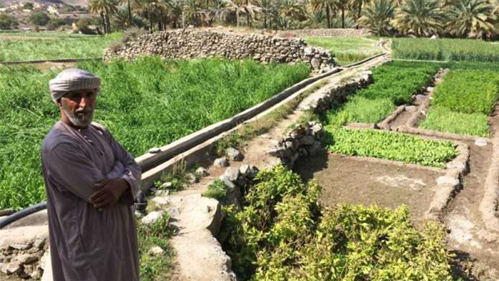 Scientists in Oman working to ensure global food security