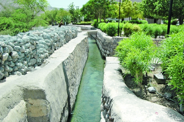 Researchers look for ways  to cut aflaj water wastage