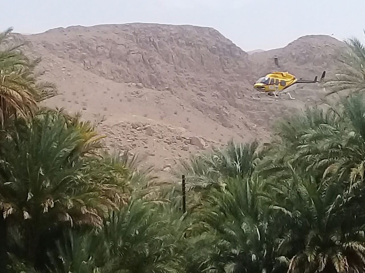 بدء الرش الجوي الزراعي بوادي بني خالد