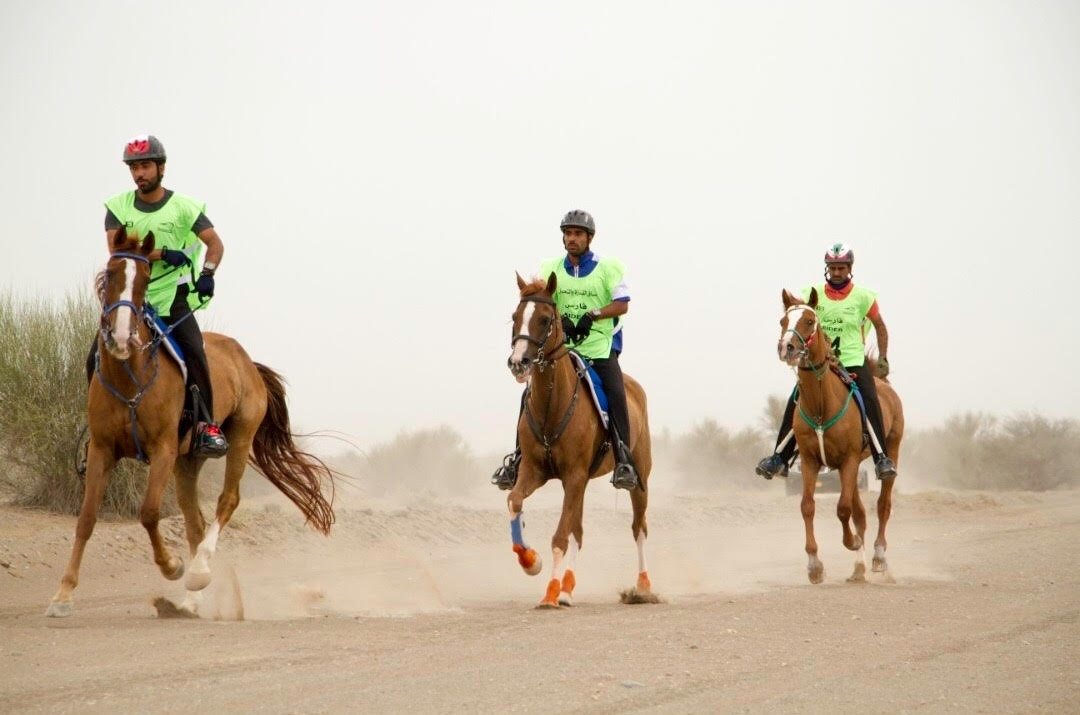 السلطنة تنجح في إقامة أول سباق دولي للقدرة والتحمل فئة الثلاث نجوم