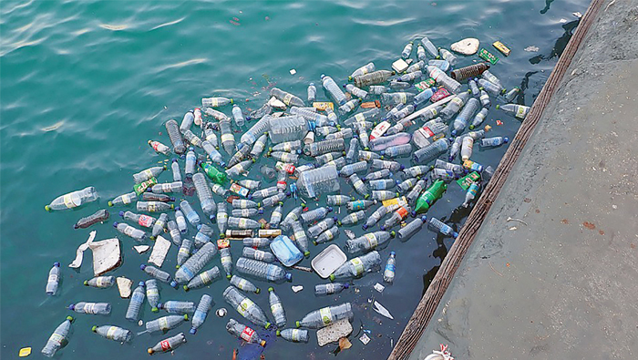 Muscat Municipality's plastic curbs proposal welcomed