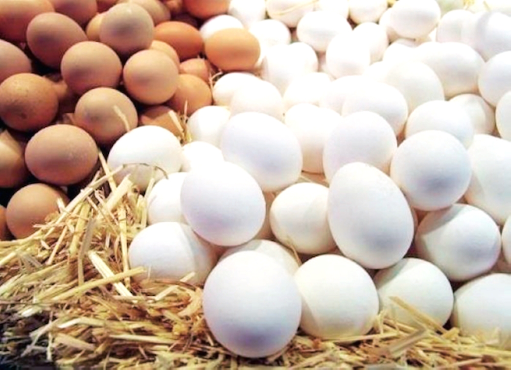 الخوف يسيطر على واشنطن.. 206 مليون بيضة ملوثة تغزو الأسواق الأمريكية