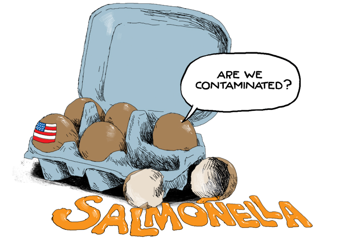 US recalls more than 200 million eggs over Salmonella fears