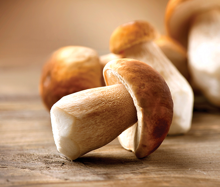 Mushrooms: Gentle on the planet, healthy on the plate