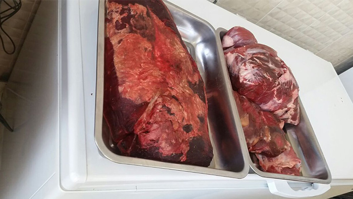 Municipality destroys more than 150 kg of meat unfit for consumption in Oman
