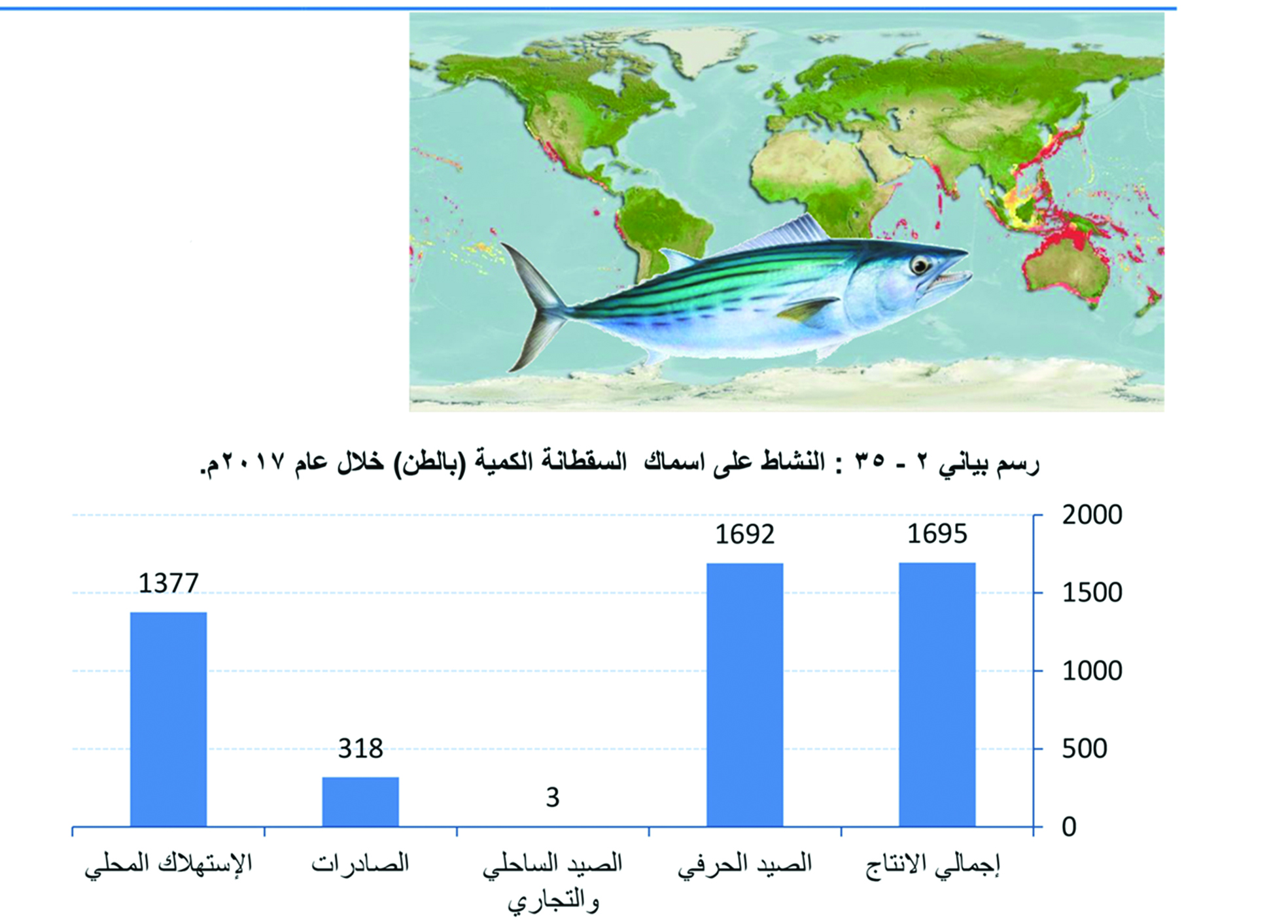 إنتاج 52.3 ألف طن السلطنة تحتفل باليوم العالمي لأسماك التونة