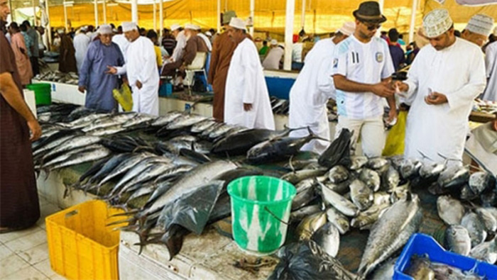 Ministry bans the export of these fish in Oman