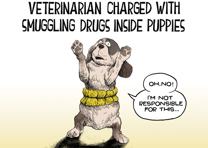 Colombian vet charged with smuggling drugs in puppies' bellies